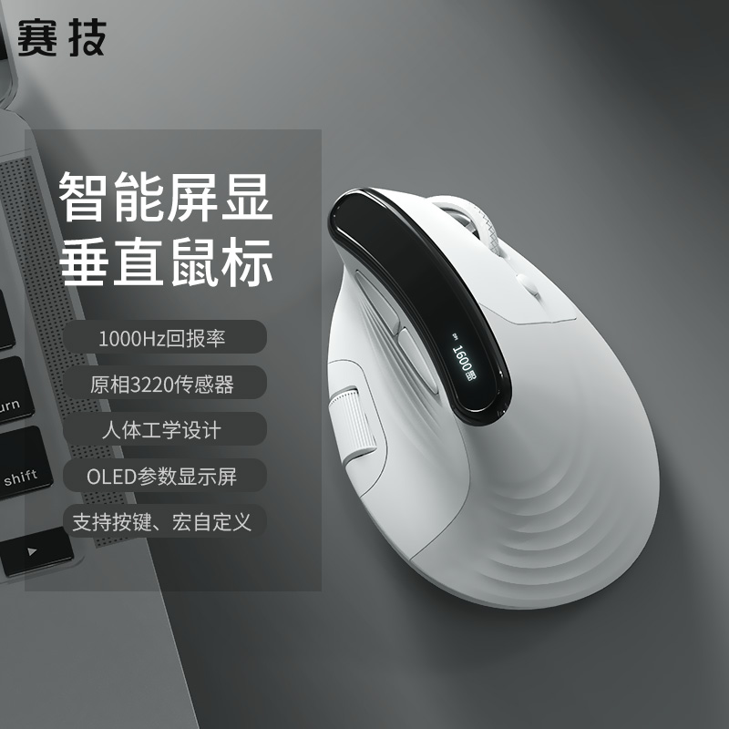 TM-023Wireless Vertical Mouse