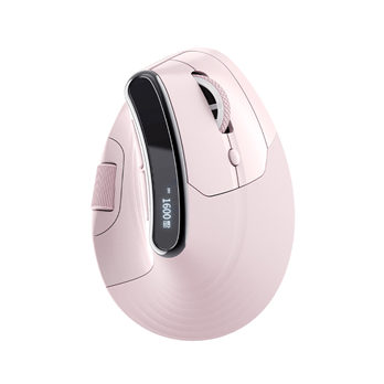 TM-023Wireless Vertical Mouse
